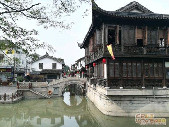 红薯与蜂蜜能一起吃吗游戏画面